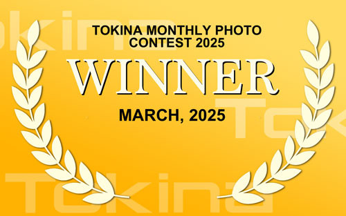 Tokina - AT-X 116 PRO DX