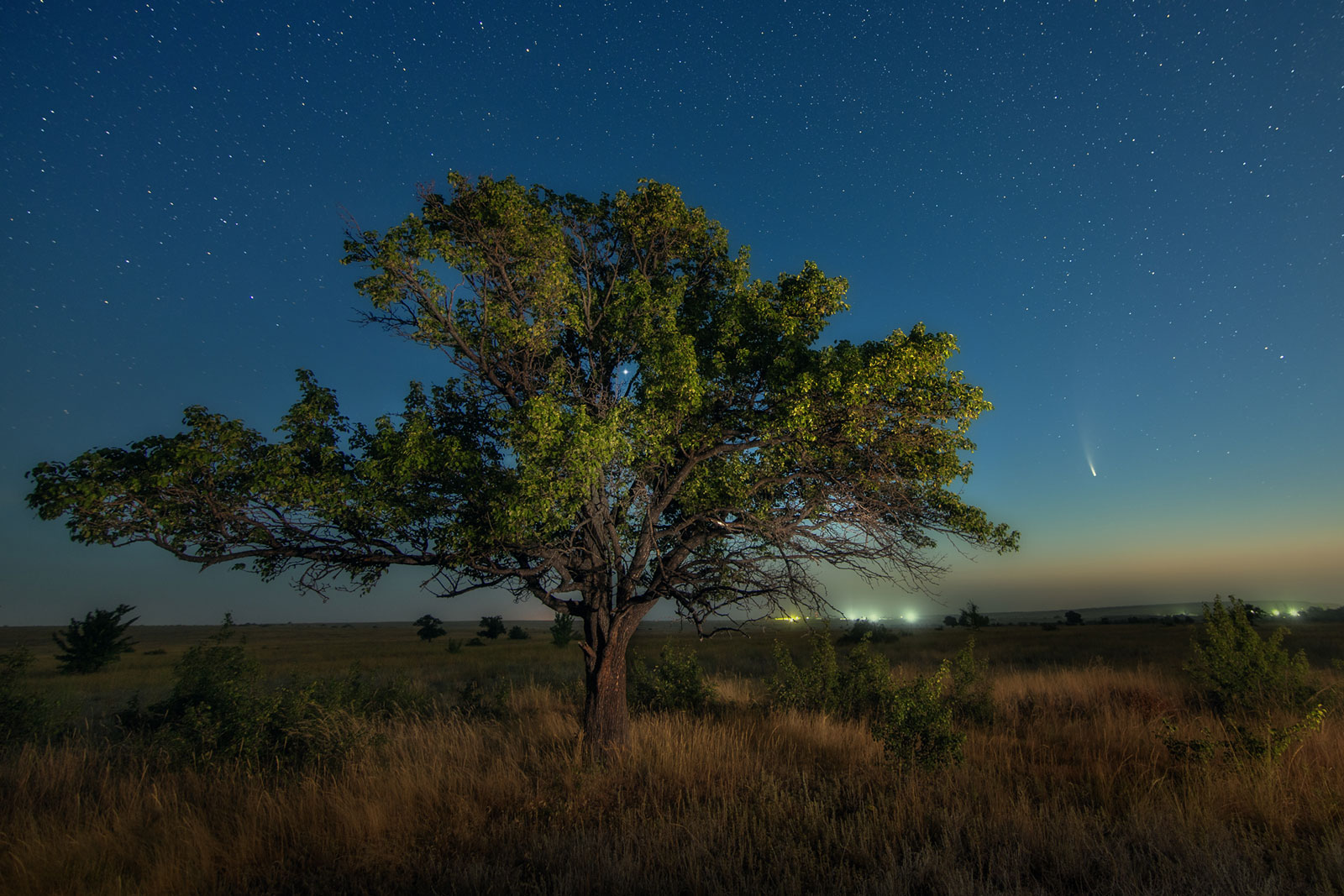 Photographer: Sergey Poproshaev | Shot with: Tokina opera 16-28mm F2.8 FF