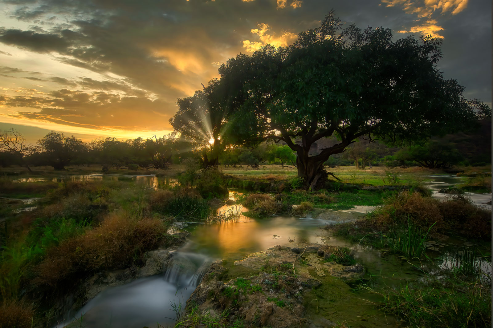 Photographer: José Andrés Díaz Rodríguez (Spain)