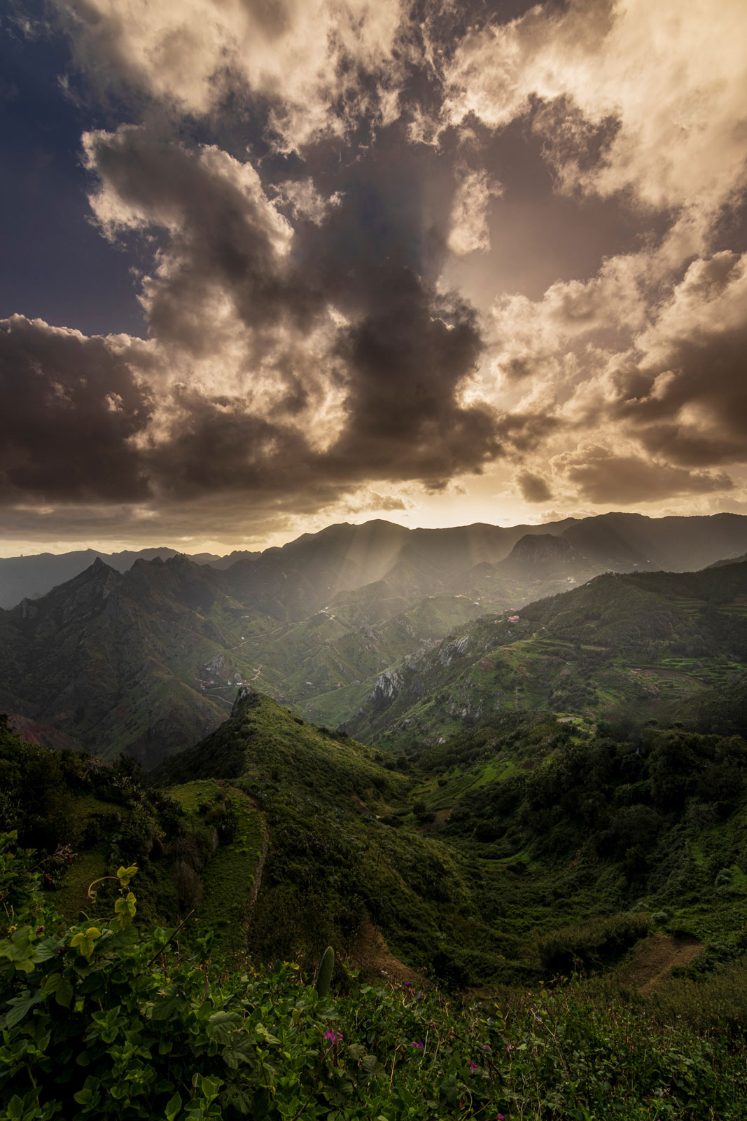 11mm, f/10, 1/40sec, ISO100