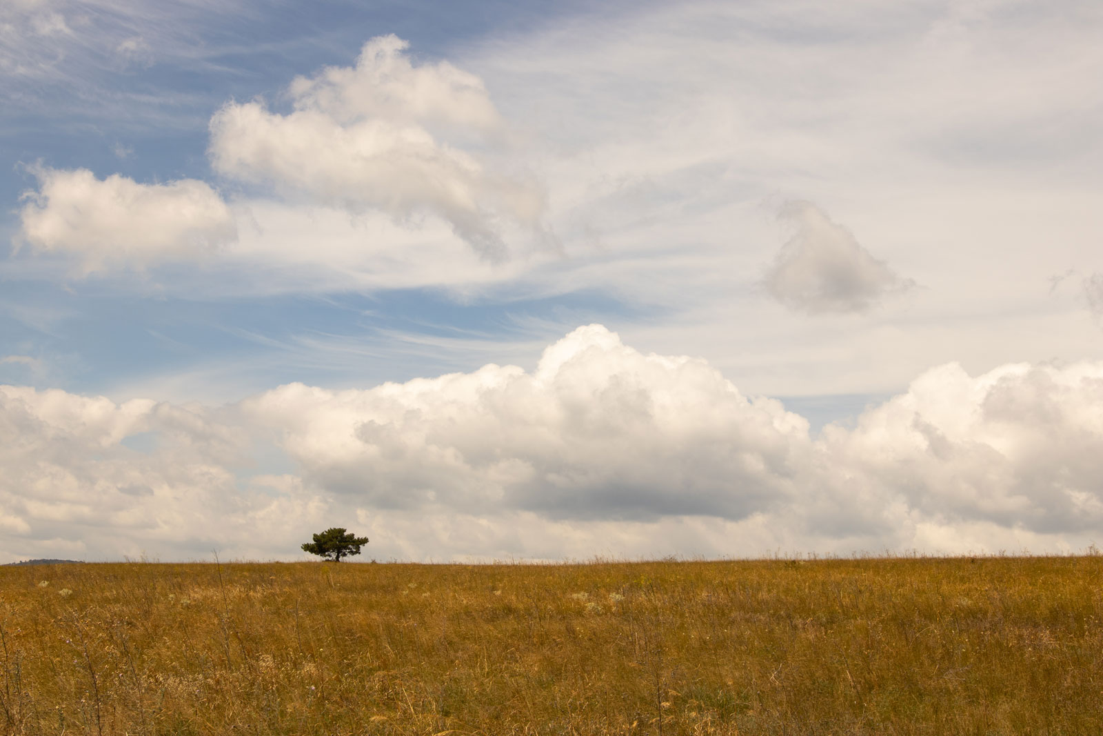 Molnar Peter | Tokina AT-X 16-28 F2.8 PRO FX (16-28mm f/2.8)