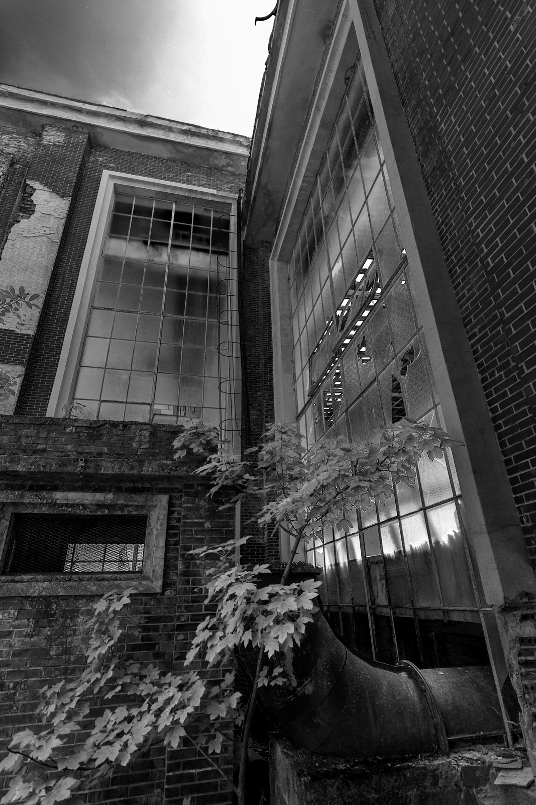 Manuel Fern&aacute;ndez Su&aacute;rez | Tokina AT-X 116 PRO DX II (11-16mm f/2.8)