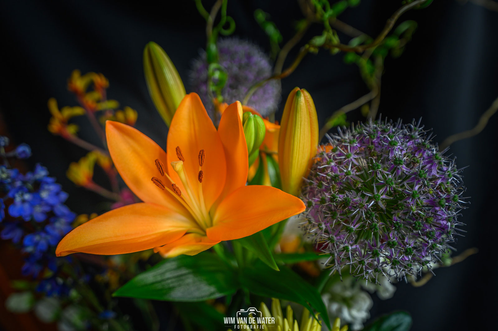Fotografia Wim Van De Water - Kwiaty na rocznicę ślubu