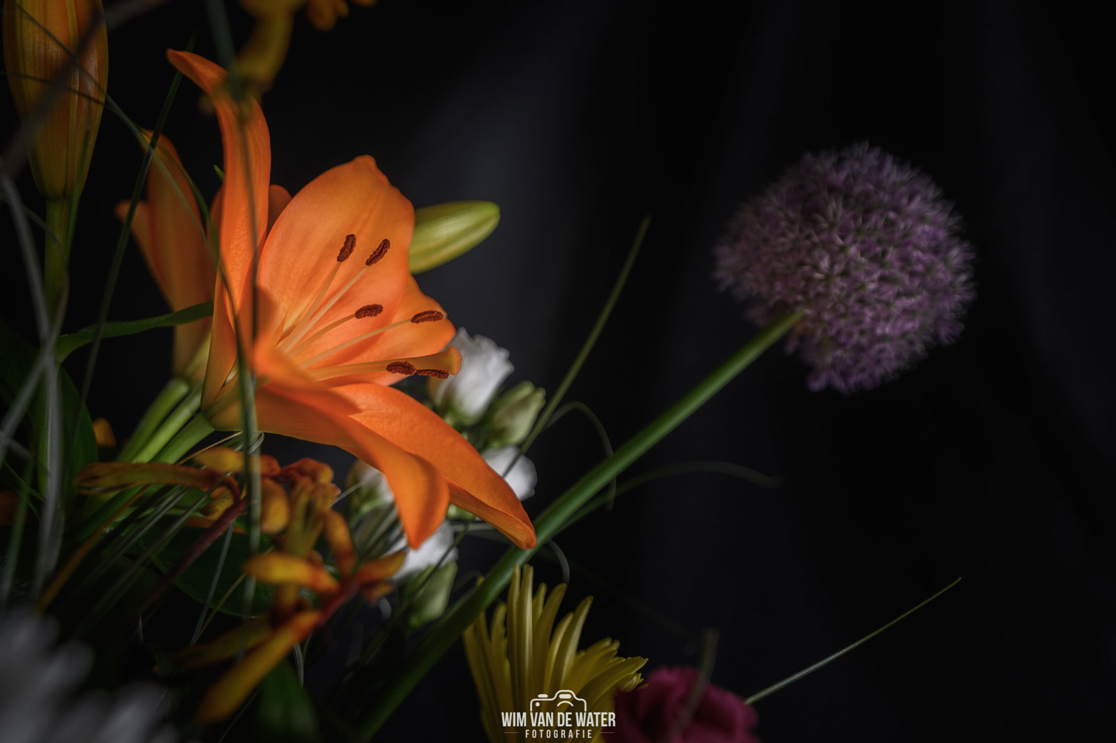 Fotografia Wim Van De Water - Kwiaty na rocznicę ślubu