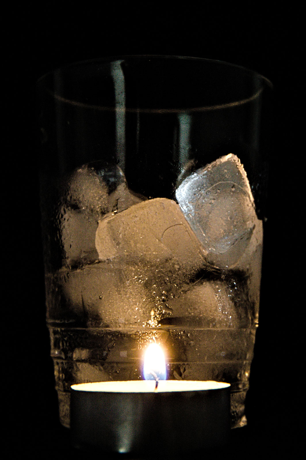 Fotografia Joao Pompeo - Lód i światło świecy oraz Roślina
