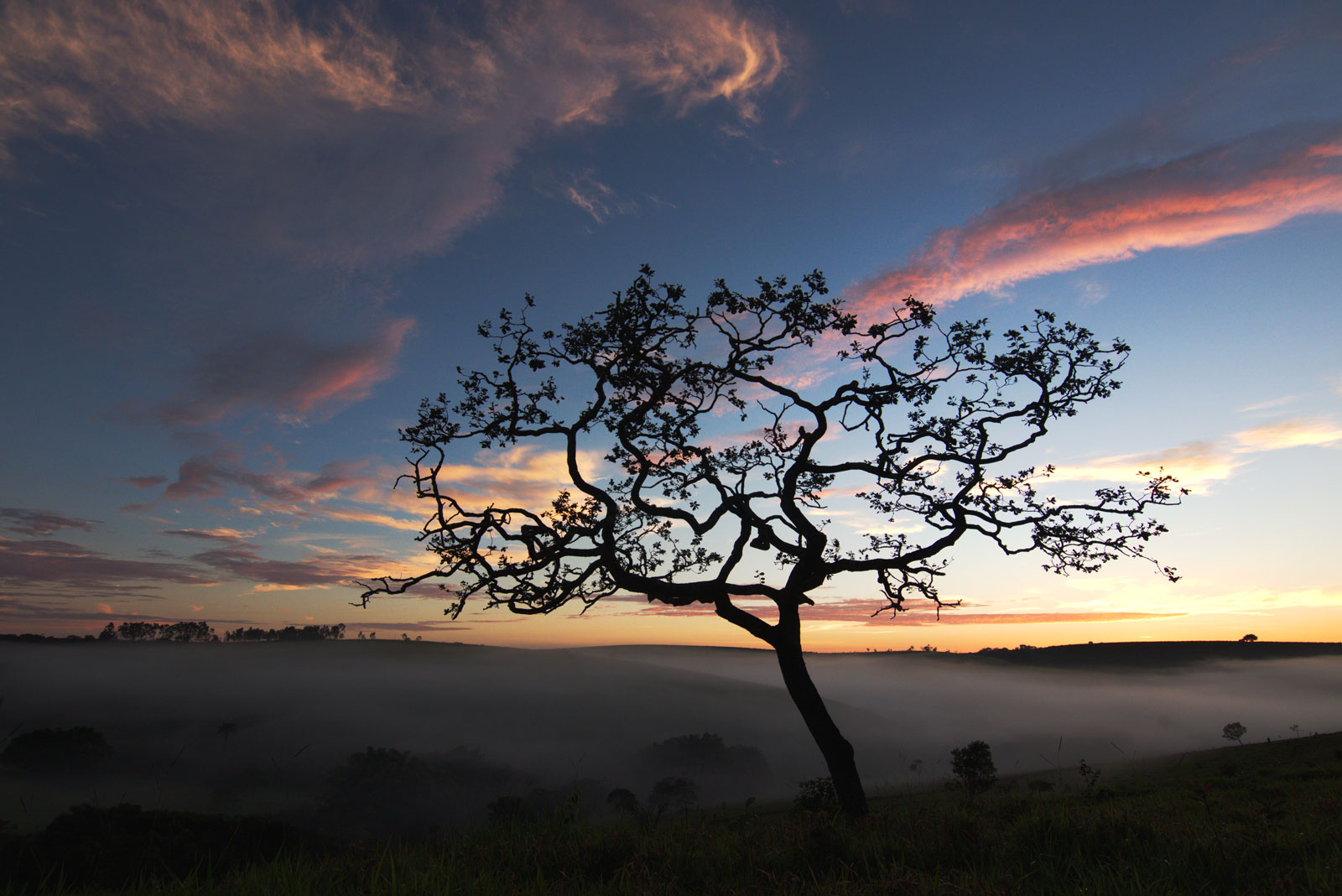 Photographer: João Pompeu