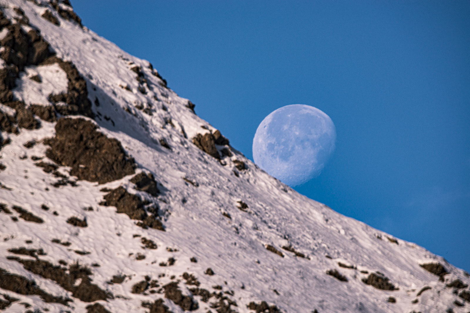 Tokina SZX 400mm f/8 with SZ 2X Extender attached. 1/80 second exposure at ISO100 on Nikon D610 body.